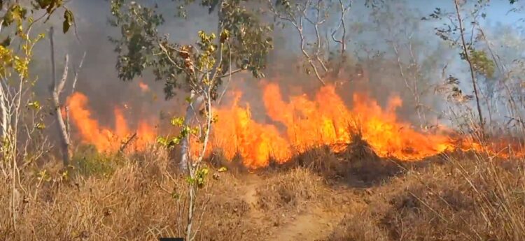Gunung Orak Arik Trenggalek Terbakar