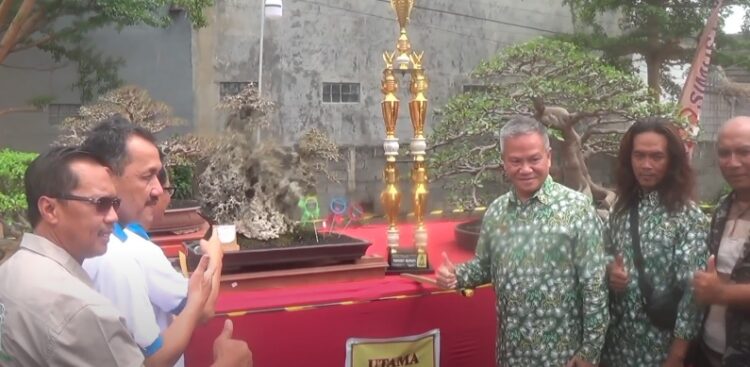 Ratusan Jenis Bonsai Ikuti Pameran Bonsai Tingkat Nasional Di Tulungagung 