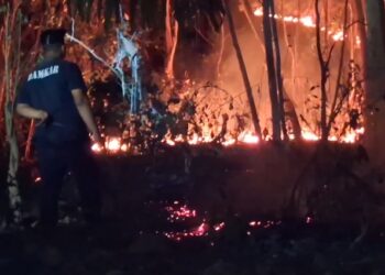 Kebakaran Lahan Hutan, Dekat Pemukiman Warga