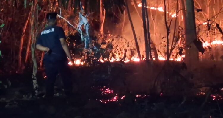 Kebakaran Lahan Hutan, Dekat Pemukiman Warga