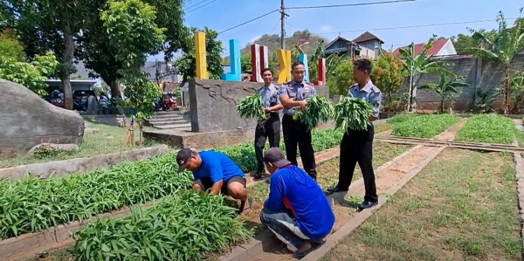 Melihat Aktivitas Warga Binaan Lapas Kediri Berkebun, Berternak Dan Produksi Tempe