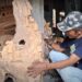 Seni Patung Akar Kayu Jati Hasilkan Karya Seni Estetik dan Bernilai Ekonomi Tinggi