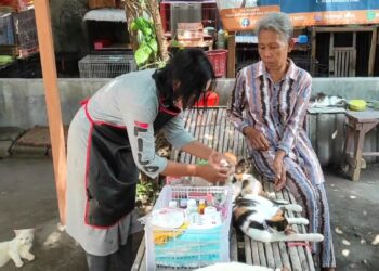 Prihatin Kucing Terlantar, Warga Kediri Rela Merawat dengan Dana Pribadi