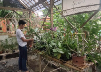 Pemuda Kediri Berhasil Membangun Usaha Budi Daya Anggrek