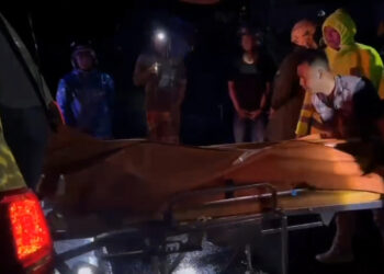 Pengendara Sepeda Motor Tewas Tertimpa Pohon Tumbang di Trenggalek