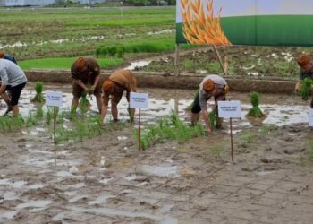Gerakan Tanam Padi Serentak Digelar Polres Tulungagung Bersama Petani dan Perusahaan Produsen Beras