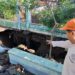 Halaman SDN Ngampel 2 Kota Kediri Ambles Akibat Longsor, Tidak Ada Korban Jiwa