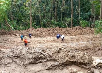 Longsor Tebing Setinggi 10 Meter Timbulkan Isolasi Di Dusun Sumbermadu, Desa Pucanganak, Trenggalek