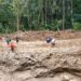 Longsor Tebing Setinggi 10 Meter Timbulkan Isolasi Di Dusun Sumbermadu, Desa Pucanganak, Trenggalek