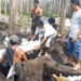 Relokasi Makam Desa Siraman untuk Pembangunan Jembatan Kali Mbambang Blitar