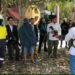 Serunya Bertanding Airsoftgun Dengan Kostum Cosplay