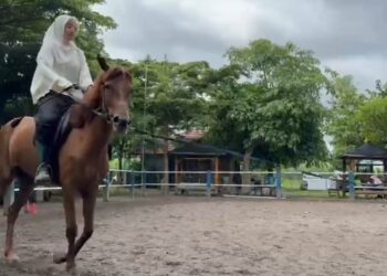 Wisata Berkuda Sumber Tawang Stable, Destinasi Edukatif dan Terjangkau untuk Semua Kalangan di Kediri