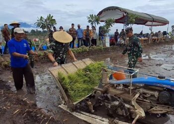 Tulungagung Dorong Swasembada Pangan dengan Demplot Tanam Padi Modern