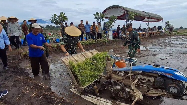 Tulungagung Dorong Swasembada Pangan dengan Demplot Tanam Padi Modern