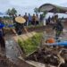 Tulungagung Dorong Swasembada Pangan dengan Demplot Tanam Padi Modern