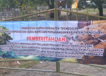 Kasus PMK di Trenggalek Meningkat, Pemerintah Tutup Sementara Pasar Hewan