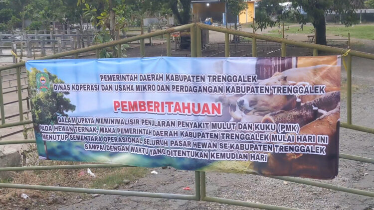 Kasus PMK di Trenggalek Meningkat, Pemerintah Tutup Sementara Pasar Hewan