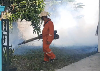 Dinkes Kota Blitar Lakukan Fogging untuk Cegah Penyebaran DBD, Lima Kasus Ditemukan di Awal 2025