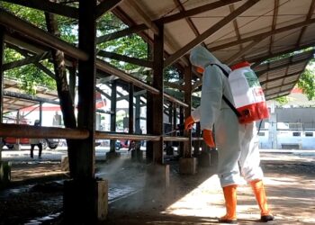 Pemerintah Kabupaten Tulungagung Lakukan Disinfeksi Pasar Hewan untuk Cegah Penyebaran Penyakit Mulut dan Kuku