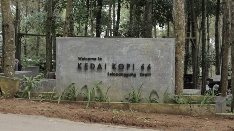 Kedai Kopi 66 Destinasi Ngopi Asri di Tengah Hutan Pinus