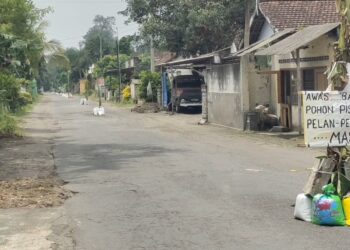 Warga Kediri Tanam Pohon Di Jalan Karena Tak Kunjung Diperbaiki
