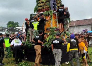 Polisi Tulungagung Temukan Puluhan HP Usai Konser Musik, Diduga Sengaja Dibuang Kawanan Pencopet
