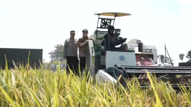 Bupati Kediri Dukung Optimalisasi Tanam dan Panen Padi: Dorong Ketahanan Pangan Lewat Kolaborasi Nasional