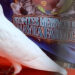 Ratusan Merpati Hias Unjuk Gigi di Nayra Farm Kediri Cup 2025