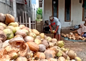 Harga Kelapa Parut di Blitar Melonjak Dua Kali Lipat, Pedagang Keluhkan Penurunan Daya Beli