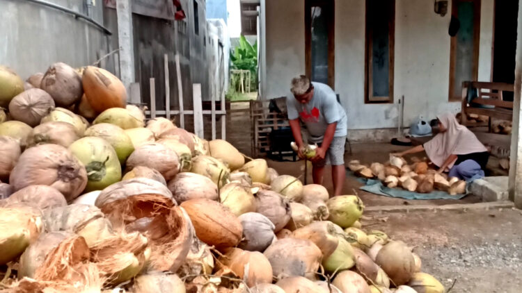 Harga Kelapa Parut di Blitar Melonjak Dua Kali Lipat, Pedagang Keluhkan Penurunan Daya Beli