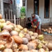 Harga Kelapa Parut di Blitar Melonjak Dua Kali Lipat, Pedagang Keluhkan Penurunan Daya Beli