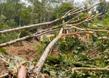 Tanah Longsor Terjang Kampak Trenggalek, Dua Rumah Warga Rusak Parah