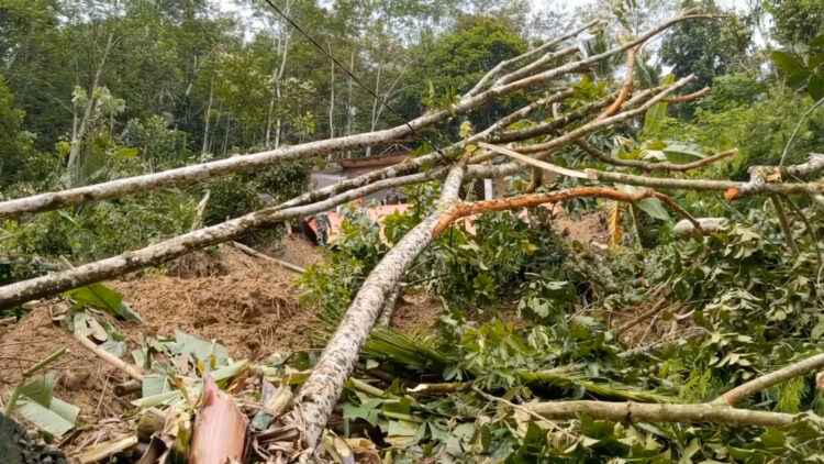 Tanah Longsor Terjang Kampak Trenggalek, Dua Rumah Warga Rusak Parah