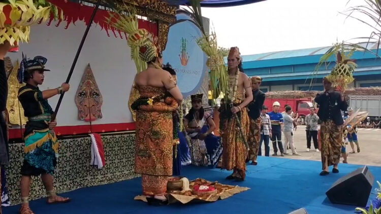 Ritual Pengantin Tebu, Tanda Dimulainya Buka Giling Tebu di Pabrik Gula Rejoso Manis Indo