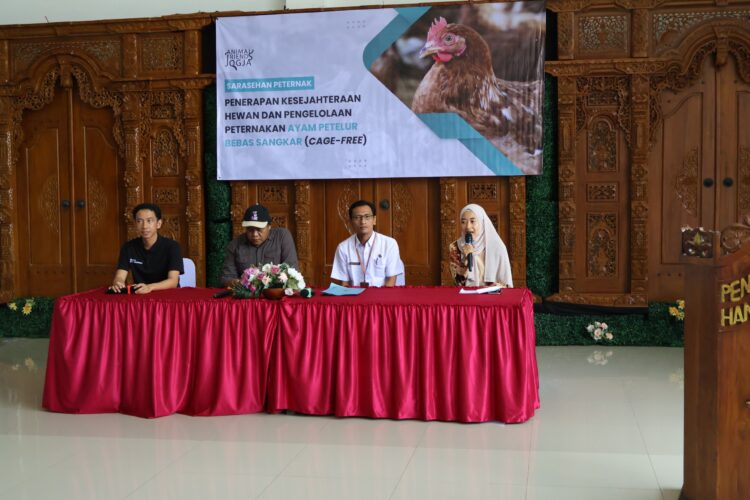Animal Friends Jogja Gaungkan Sistem Bebas Sangkar (Cage-Free) Lewat Sarasehan Peternak di Blitar