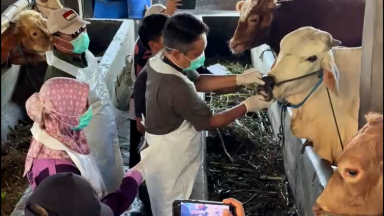 Pemerintah Kabupaten Kediri Lakukan Pemantauan Kesehatan Hewan Kurban Jelang Idul Adha