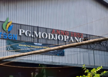 Musim Giling 2025, PG Modjopanggoong Targetkan Produksi 29 Ribu Ton Gula Pasir