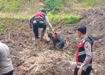 Pencarian Enam Korban Longsor Di Trenggalek Terus Dilakukan