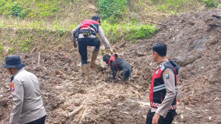 Pencarian Enam Korban Longsor Di Trenggalek Terus Dilakukan