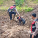 Pencarian Enam Korban Longsor Di Trenggalek Terus Dilakukan