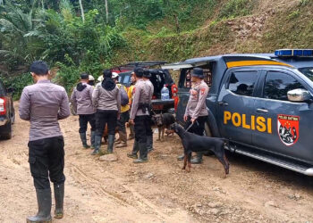 Titik Terang Ditemukan, Proses Pencarian Enam Korban Longsor di Trenggalek Terus Dilanjutkan