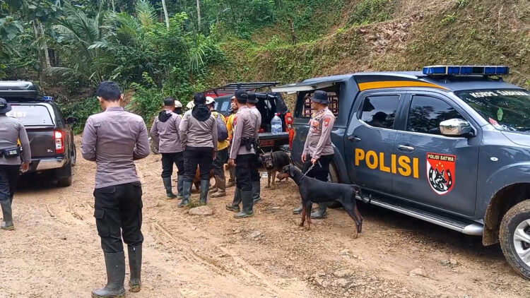 Titik Terang Ditemukan, Proses Pencarian Enam Korban Longsor di Trenggalek Terus Dilanjutkan