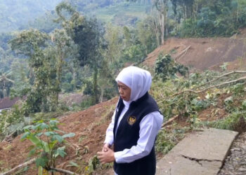 Tinjau Lokasi Longsor, Gubernur Khofifah Akan Turunkan Tim Ahli Untuk Mitigasi Bencana Di Trenggalek