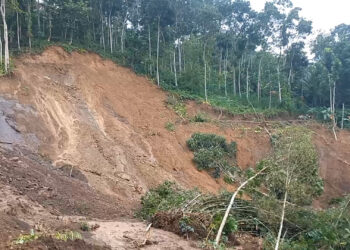 Pencarian Korban Longsor di Trenggalek Masuk Hari Keenam