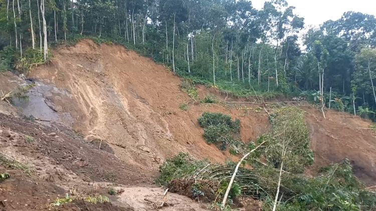 Pencarian Korban Longsor di Trenggalek Masuk Hari Keenam