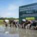 Rasakan Kenaikan Harga Gabah Berkat Terobosan Mas Dhito, Petani Kediri Kembali Bersemangat Tanam Padi