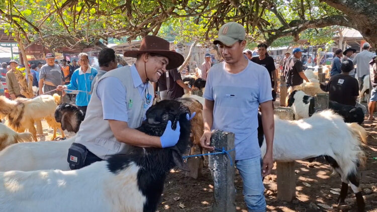 Jelang Idul Adha Pemkot Kediri Gelar Sidak Hewan Kurban di Pasar Muning