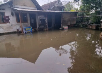 Gorong-Gorong Tersumbat, Sejumlah Rumah Warga di Nganjuk Tergenang Air