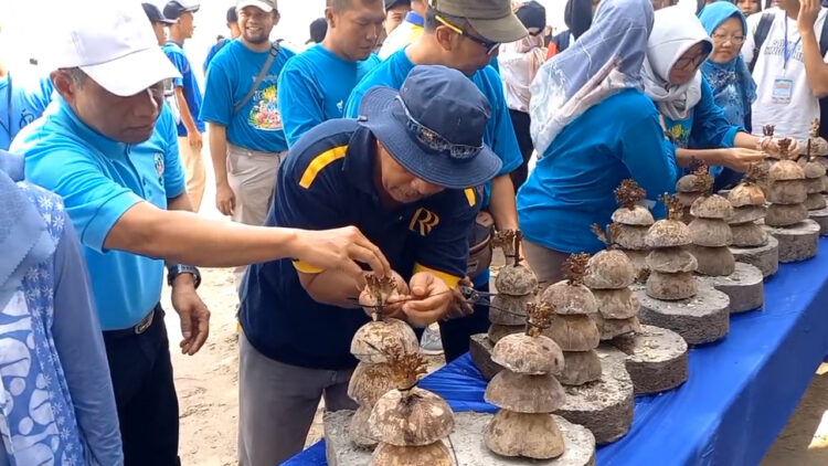 Lestarikan Laut, Pemkab Trenggalek Gelar Mutiara Underwater Festival & Conservation