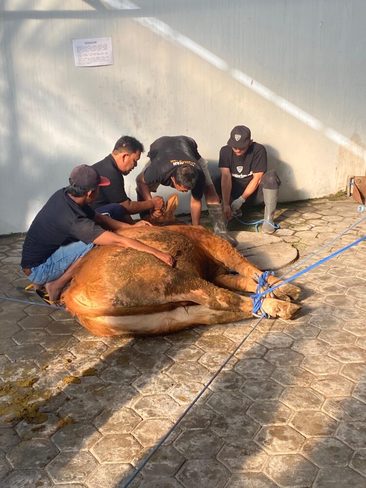 Manajemen Kurban yang Matang di Tingkat Lingkungan